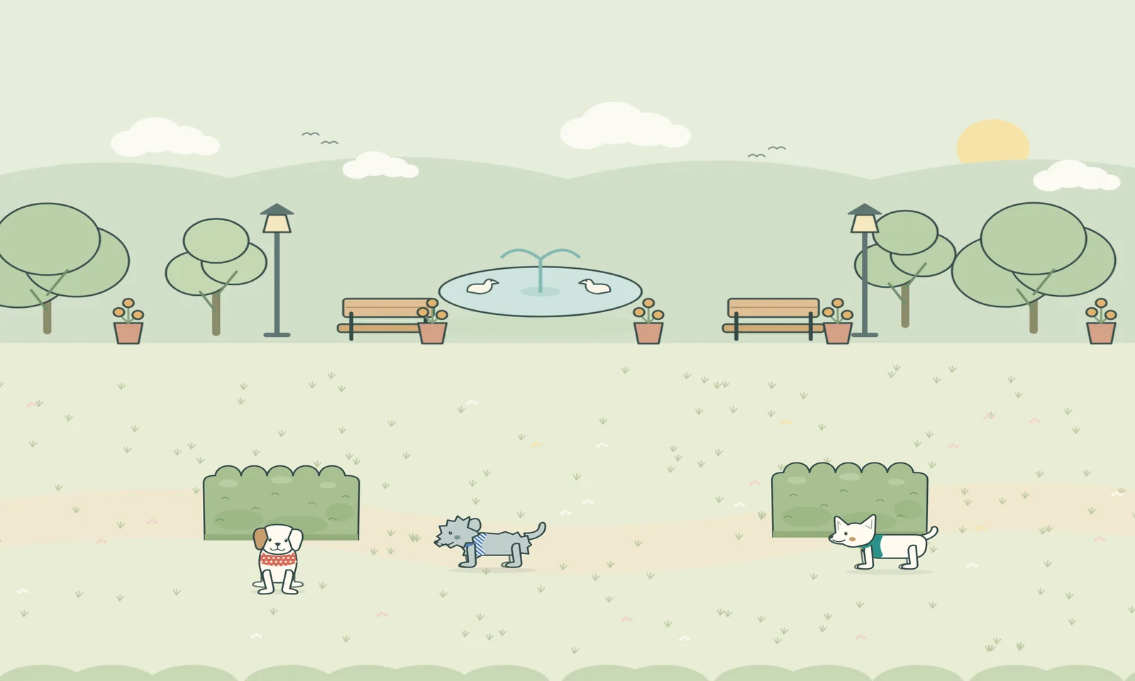 The park on the Very gentle level, with just a few pups and a cat